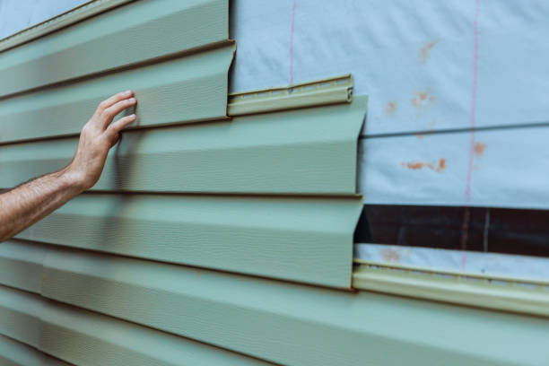 Best Siding Painting and Refinishing  in Hondo, TX